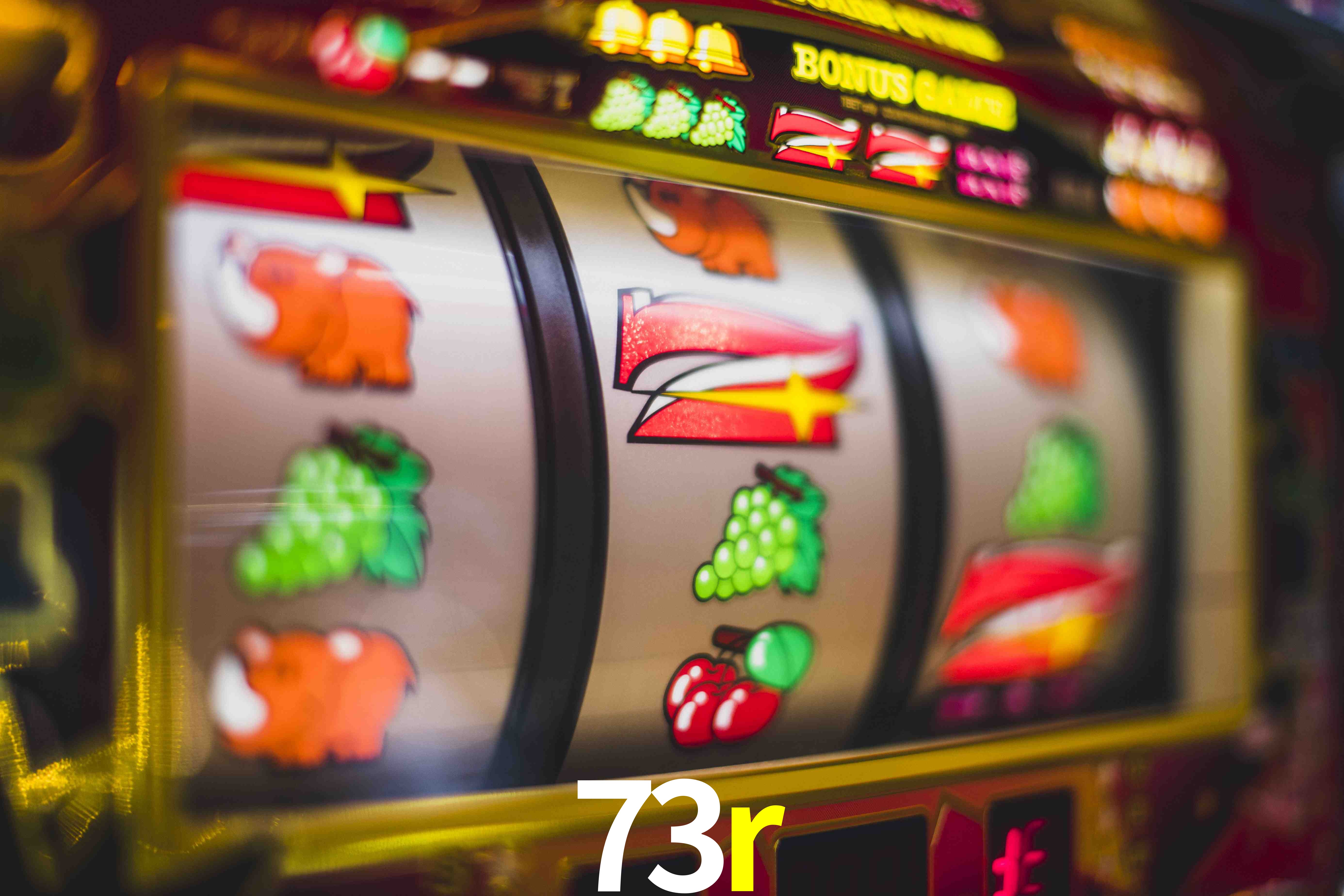 Sports Statistics 73r